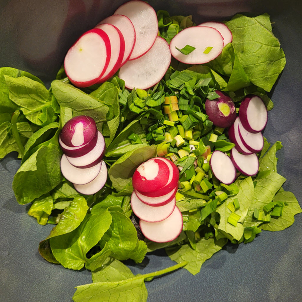 Salade printanière de radis